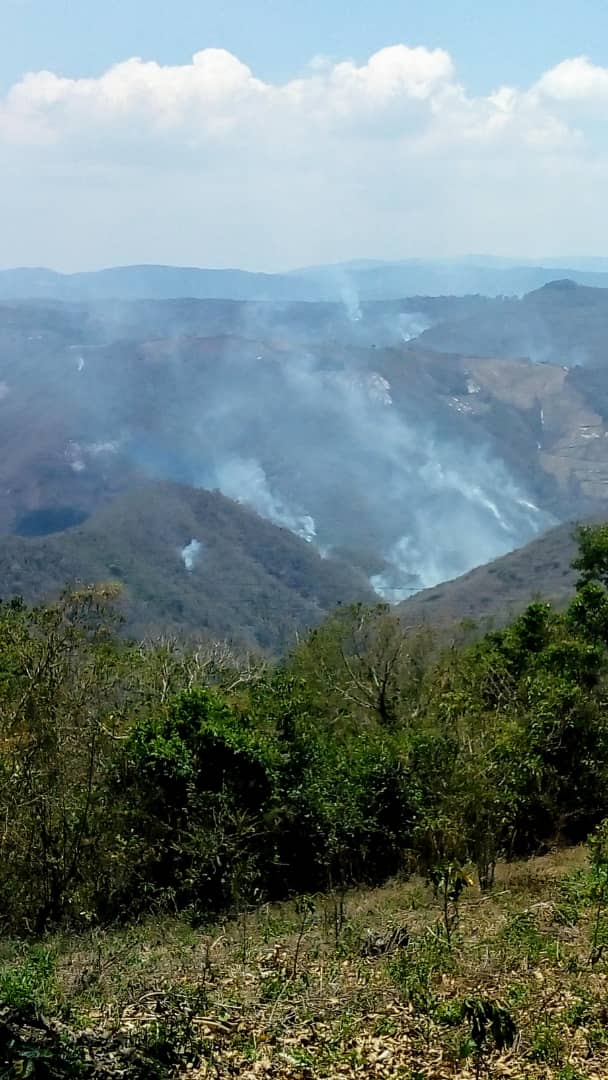 pelon_mzn's tweet photo. los incendios a nivel nacional tienen un repunte en los ultimos dias  https://t.co/bqD3YNk8qZ via @INAMEH   foto lara  #terepaima #IncendiosForestales https://t.co/yWZm0YbYyB
