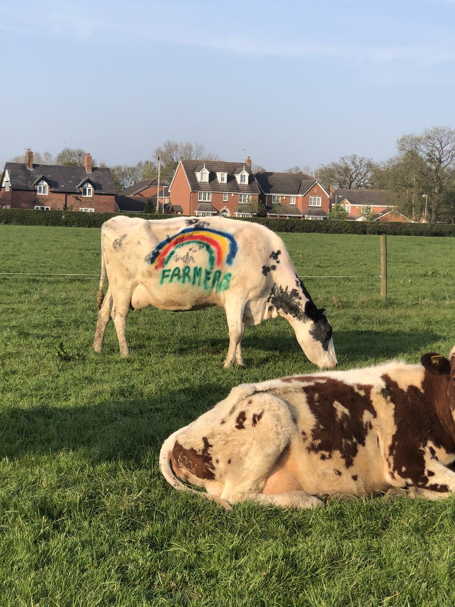 Kelly Roberts tweet media