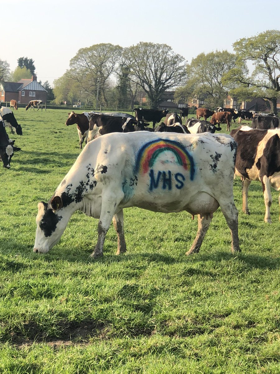 Kelly Roberts tweet media