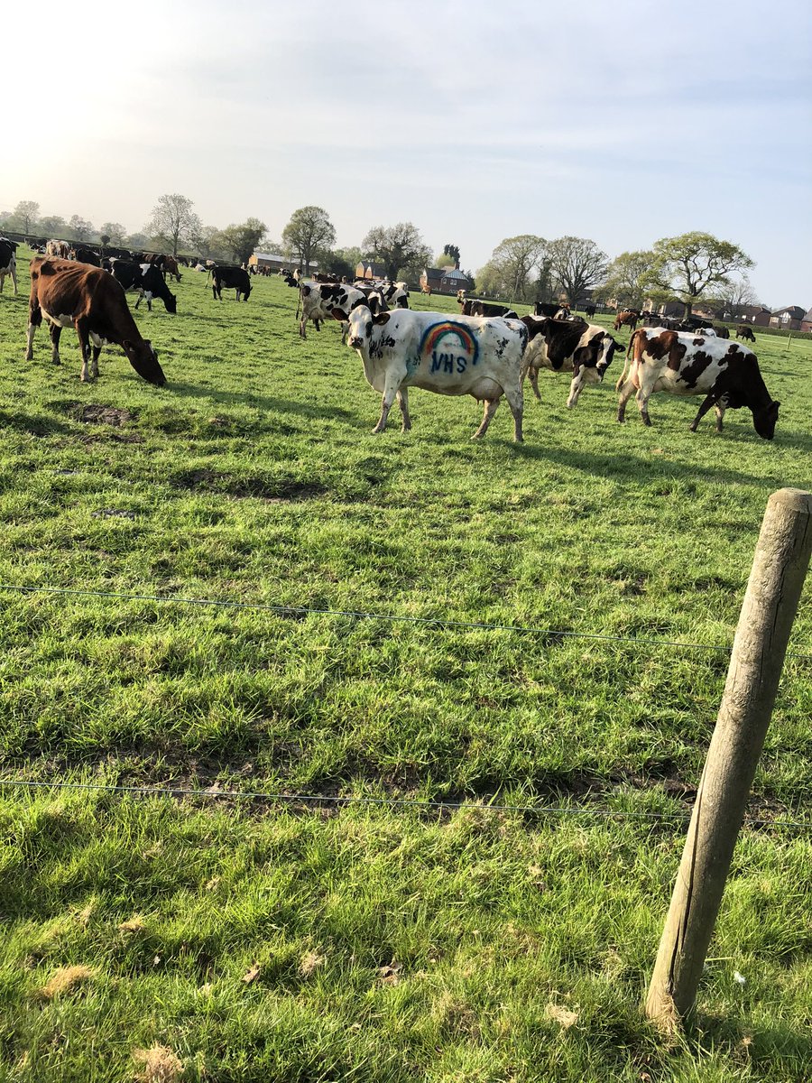 Kelly Roberts tweet media