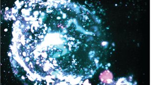 melissa_skala's tweet photo. Our paper is live! "Label-free redox imaging of patient-derived organoids using selective plane illumination microscopy" @OSAPublishing Congratulations to Peter Favreau for this beautiful work! 🔬👏🌈  https://t.co/4ctfOyIJCo https://t.co/7YauldaYuX