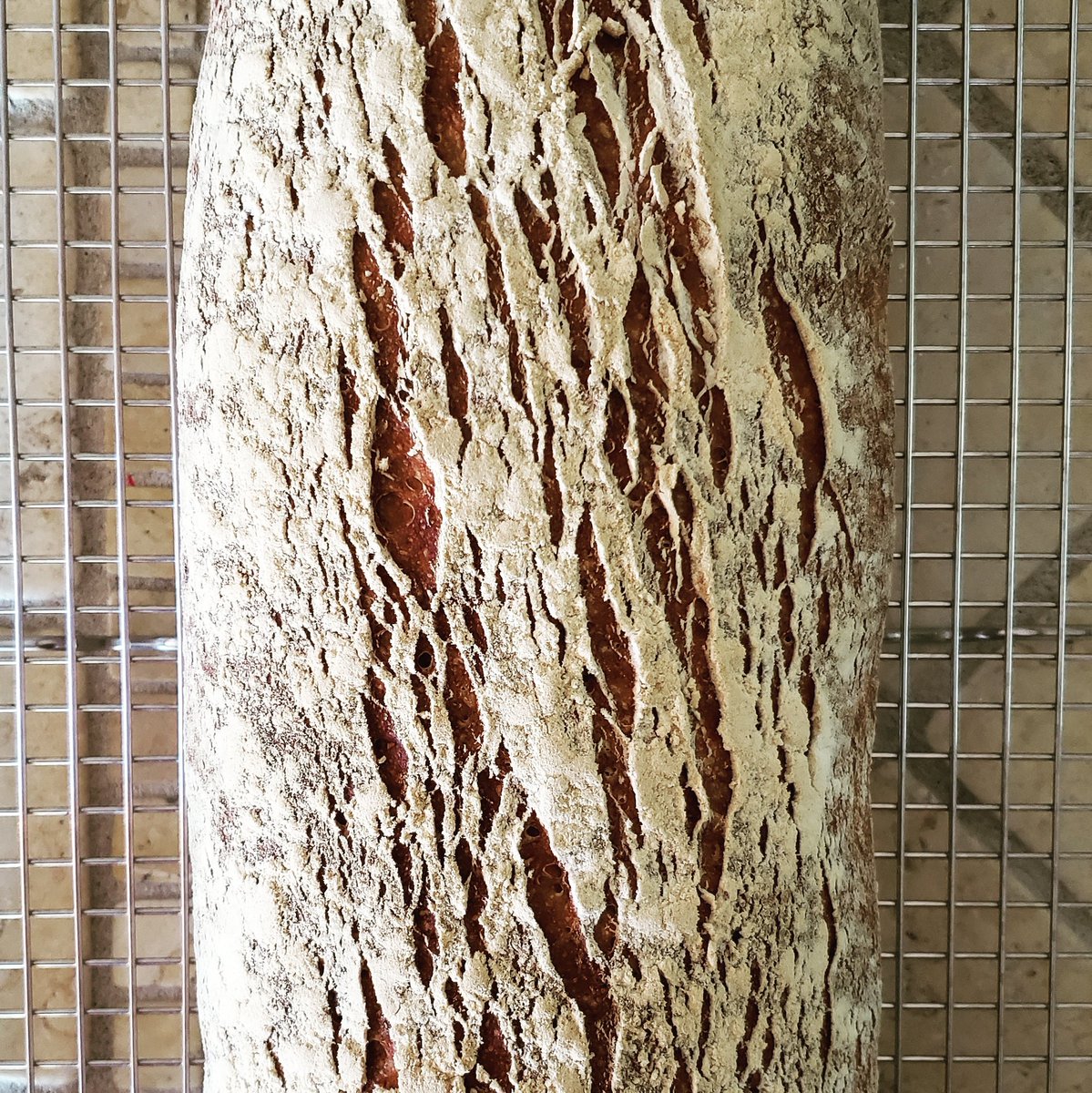 HowieSouthworth's tweet photo. Somebody wanted to hop out of the oven and say "Hi!" #friendly #neighborhood #wholewheat  #sourdough #barra #glamorous #noscoring #natural #crust #tears #smellsgreat #cantwait 😷🥖👏👏👏👏 #quarantinekitchen #quarantinecooking #quarantinebaking #bread https://t.co/X1ZPNQP9p1
