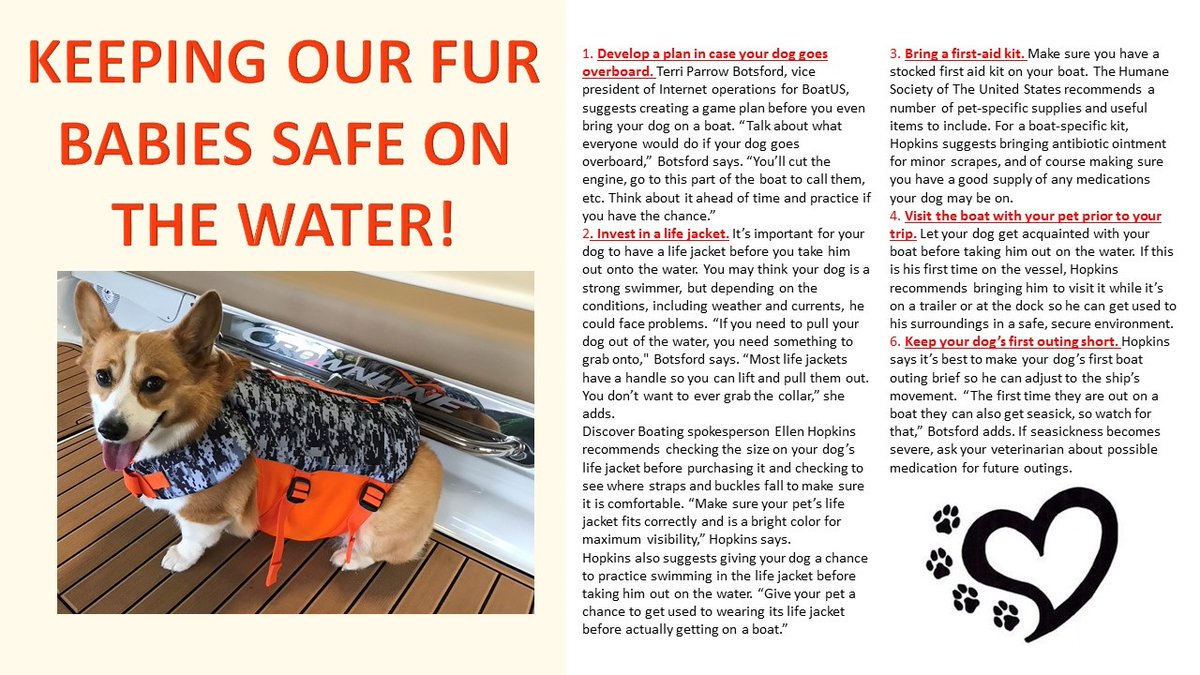 #crownlineboats #boatingdogs