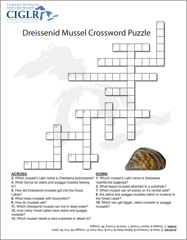 Another name for bluegill crossword