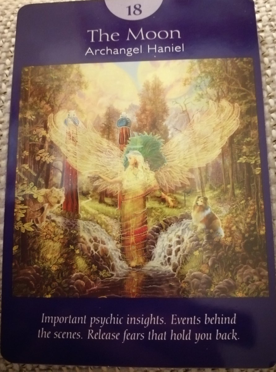 purpleaura7's tweet photo. 1 The Magician-Archangel Raziel
 
14 Balance-Archangel Zadkiel

18 The Moon-Archangel Haniel

4 of Earth

#tarot #Tarotcards https://t.co/bzQd3D95V3