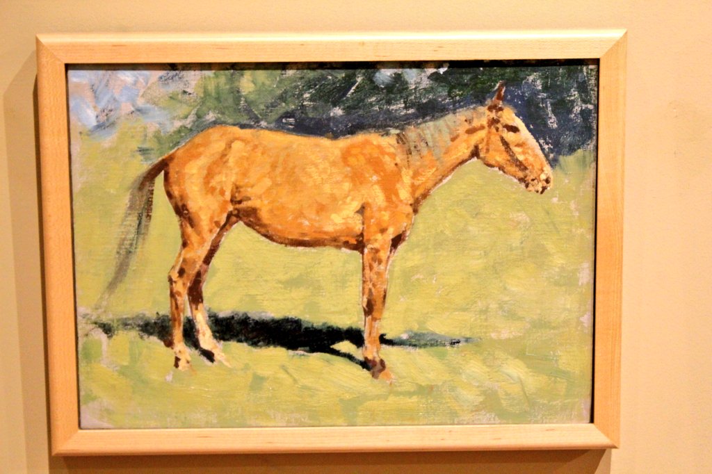 My favorite #horse.  Get me a saddle  😊