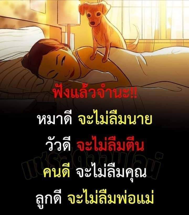 คำคมสอนใจclubfridays on Twitter: คำคมสอนใจClubfridays On Twitter: