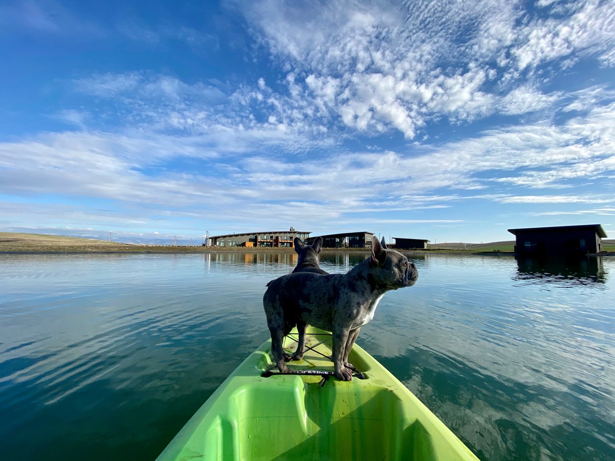 Eritage Resort tweet media