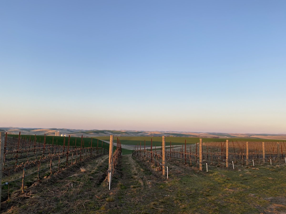 Eritage Resort tweet media