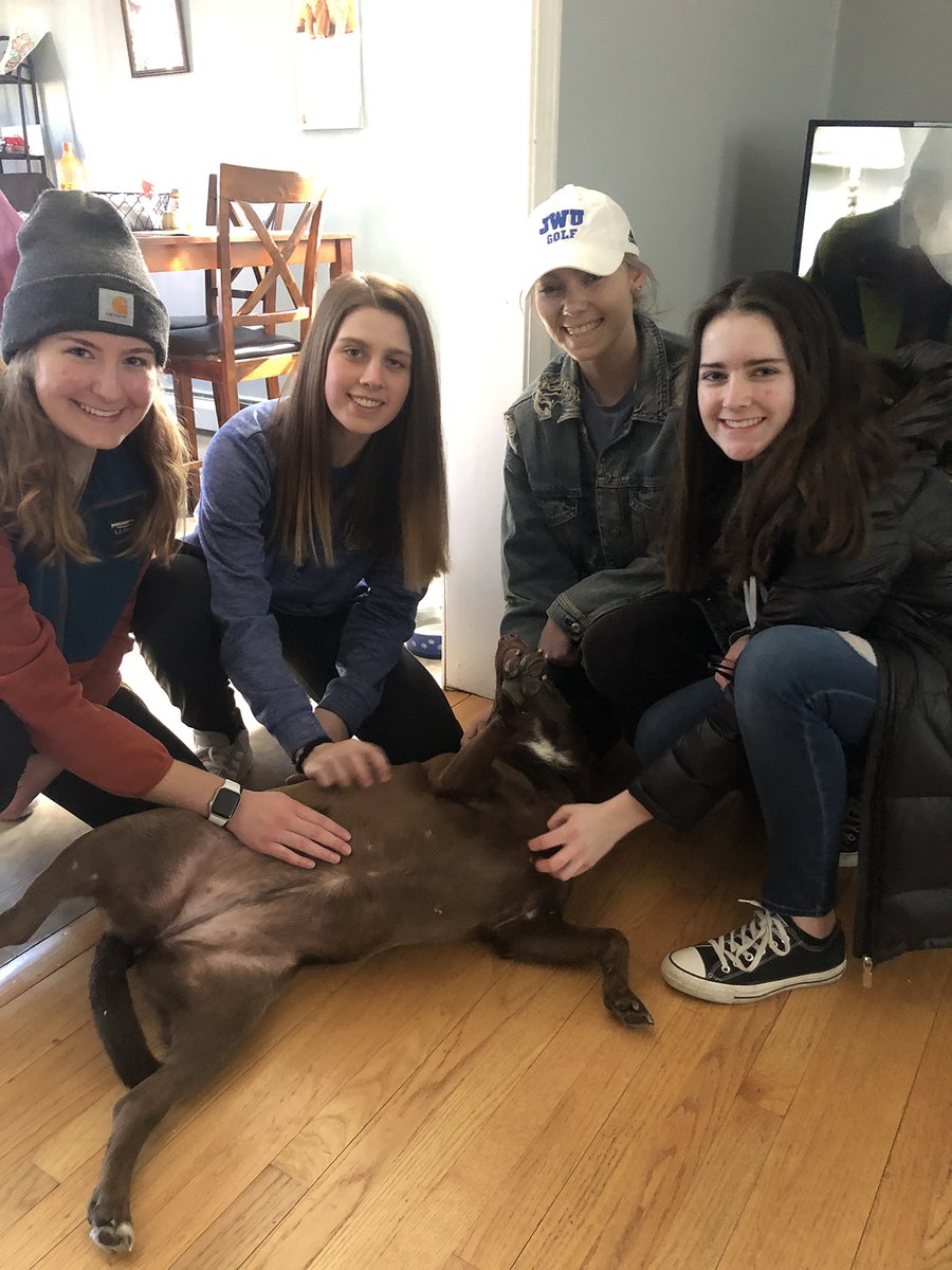 jwuwildcatsPVD's tweet photo. JWU Athletics Partners With Save One Soul (@SaveOneSoulARL) @JWUProvidence @NCAADIII @TheGNAC #D3Week #whyD3  https://t.co/iWJH6rcjcB https://t.co/dzwsXjRN6m