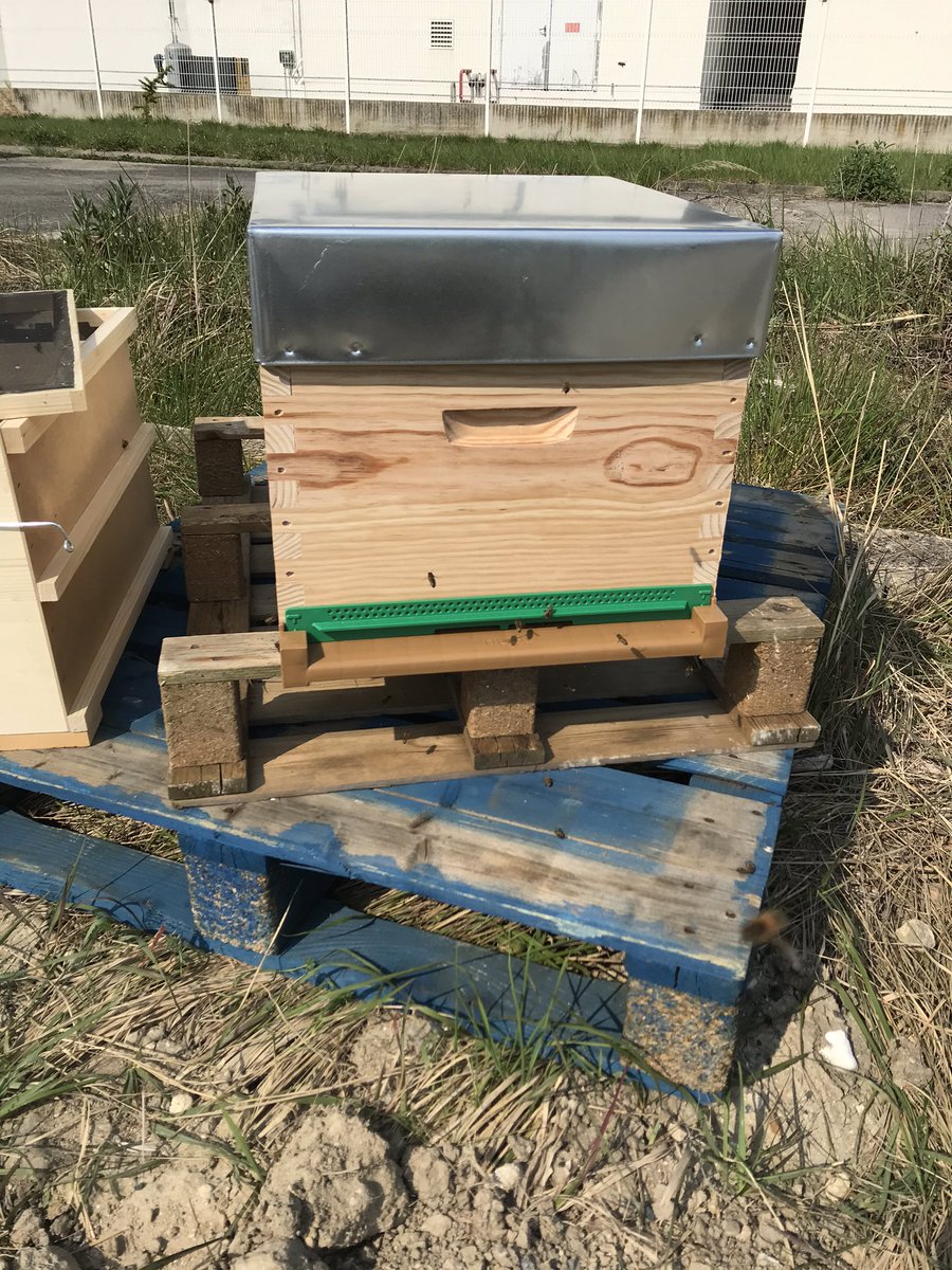 UnisVertCite's tweet photo. 🐝 Les #abeilles sont arrivées sur Bobigny 🐝

Nous venons d’installer 2 #ruches tout proche de la mare. 

Vous pourrez suivre les aventures de ses petites bêtes ! Et bientôt goûter le #miel Made in #Bobigny 🍯😋
Un futur miel made in @univ_spn 😍 https://t.co/s1uirh9GVa