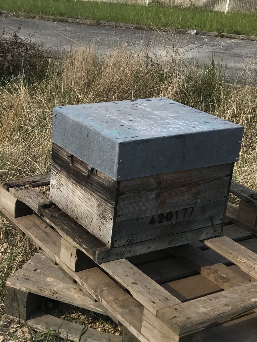 UnisVertCite's tweet photo. 🐝 Les #abeilles sont arrivées sur Bobigny 🐝

Nous venons d’installer 2 #ruches tout proche de la mare. 

Vous pourrez suivre les aventures de ses petites bêtes ! Et bientôt goûter le #miel Made in #Bobigny 🍯😋
Un futur miel made in @univ_spn 😍 https://t.co/s1uirh9GVa