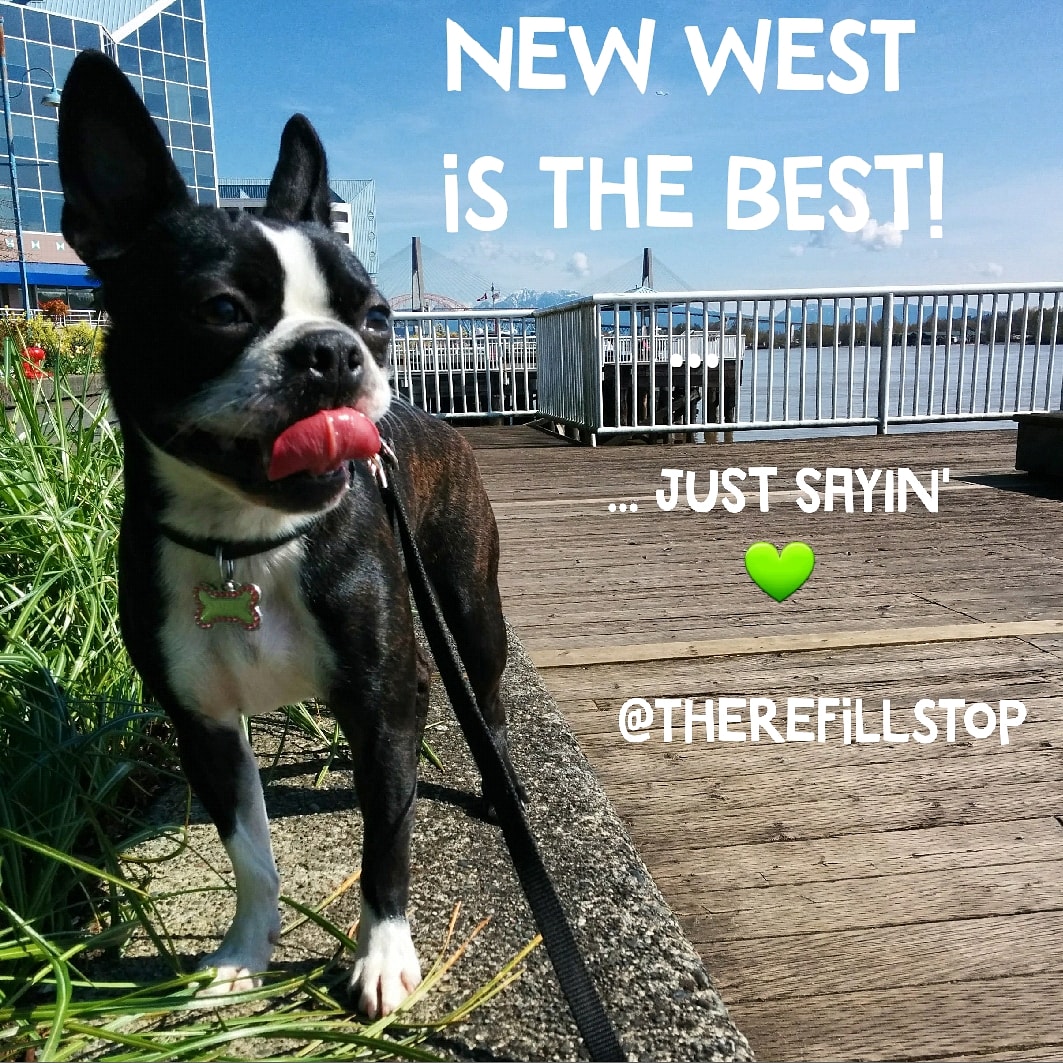 The Refill Stop tweet media