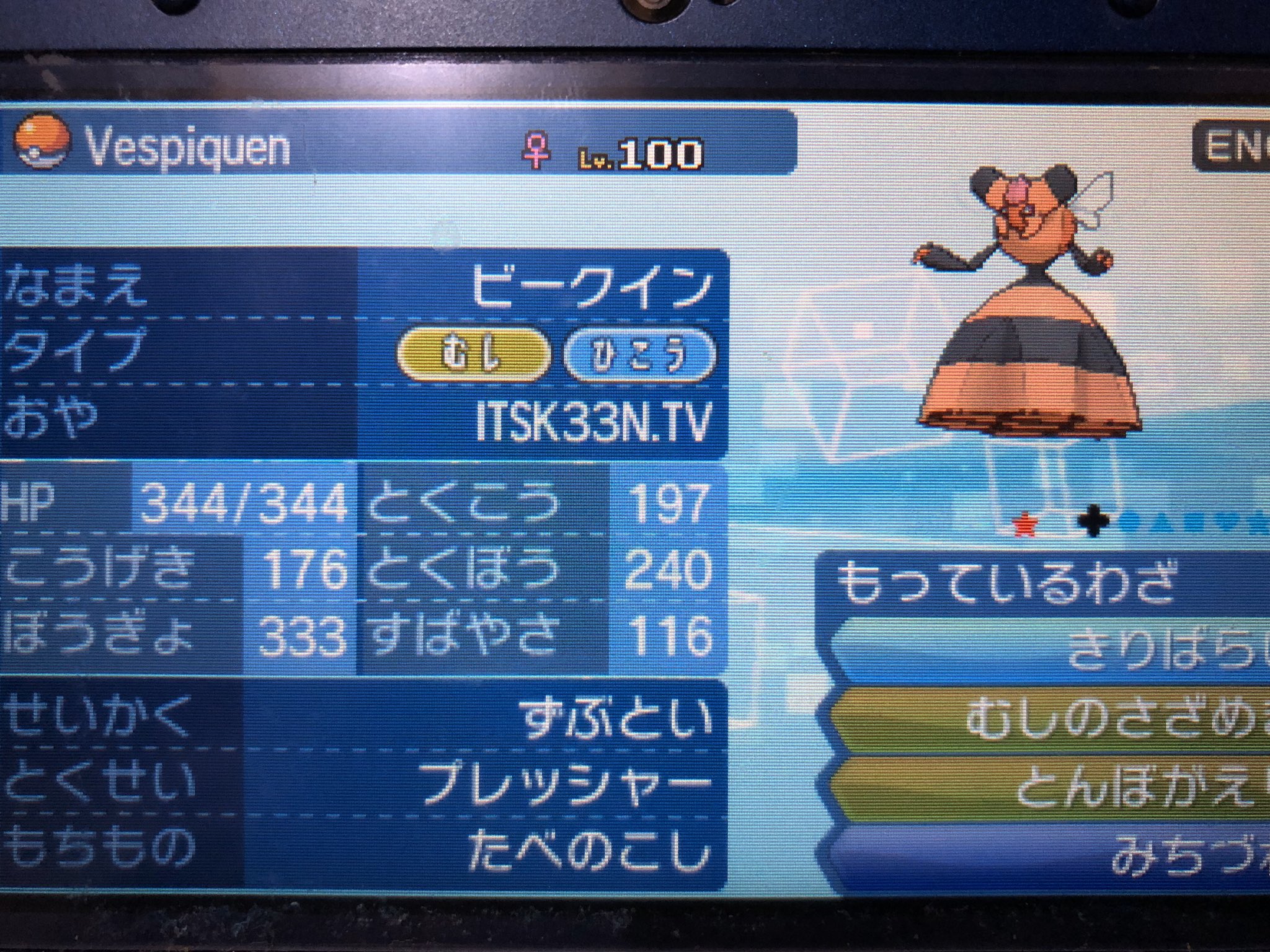 Lucky Clover Gts で伝説とかの色違いが 出回ってるのは知ってる 普通のオシャ孵化余りを出してたの そして 普通のビークインが欲しかった なのに 何故 Lv１００の色違い6v そしてなにより 親名 もう逃がしたケド 食べ残し もう