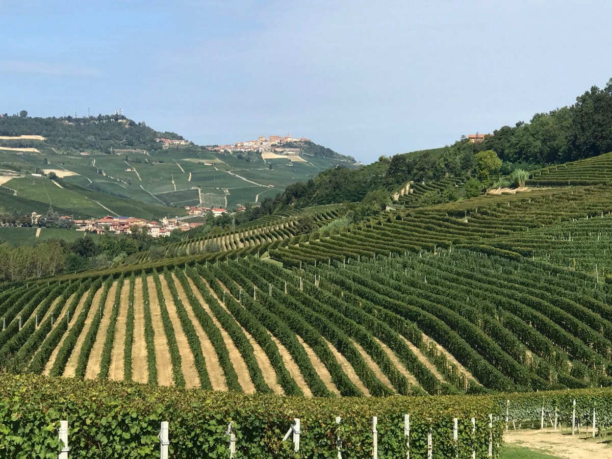 verovinogusto's tweet photo. Need a change of scenery? Join us in the beautiful vineyards of Piemonte for a live tasting with Aldo Clerico and our co-host @uncorkedhermosa. Saturday 11AM PDT / 2PM EDT 
#vero #connectingpassion #verocommunity #wine #winelovers #vino #italianwine #winetasting #italy #StayHome https://t.co/P5J5dx2ZVg
