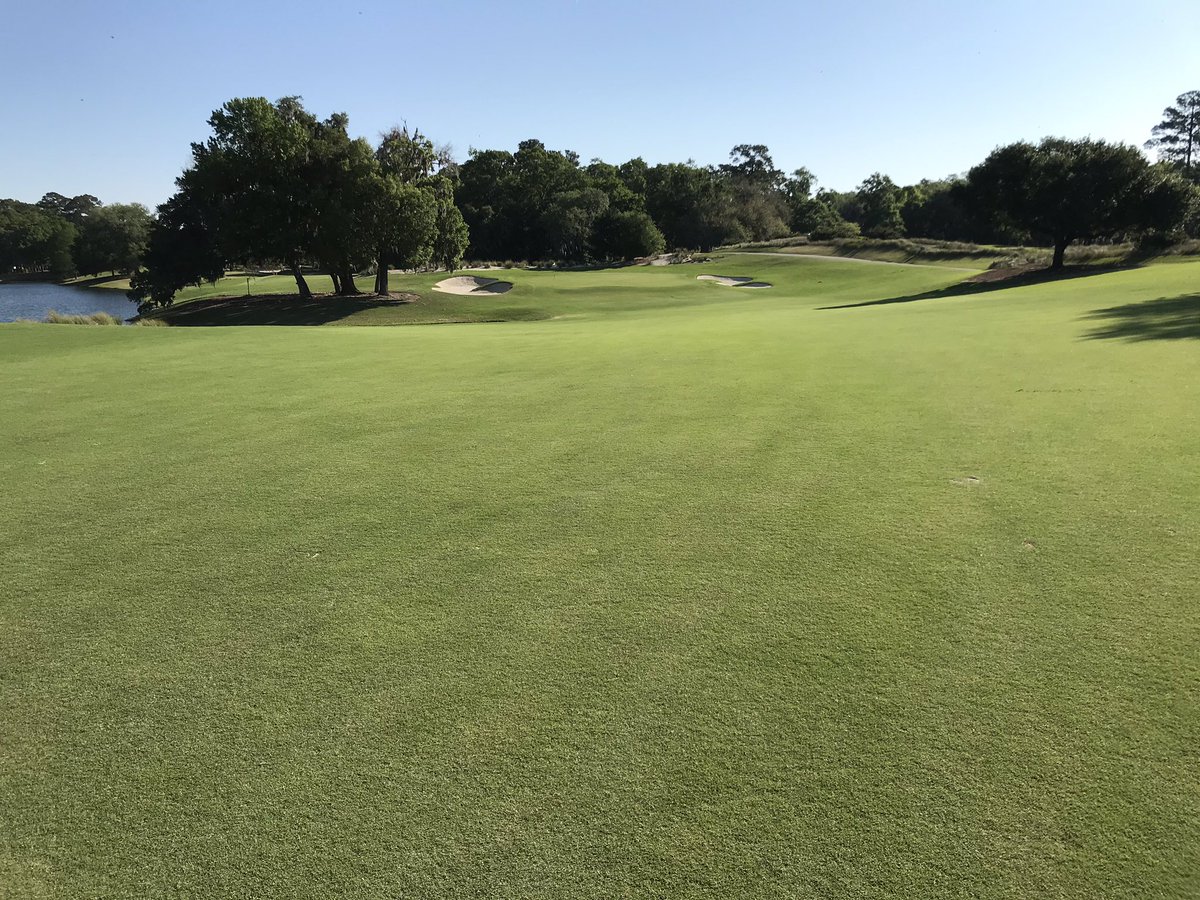LeeDempster1's tweet photo. Checking greens with @dneus_neus this morning. East greens are much more shot receptive and still rolling in the 11s after Monday’s solid tine. Snapped a few photos. Beautiful day. https://t.co/yDq4yeZqyv