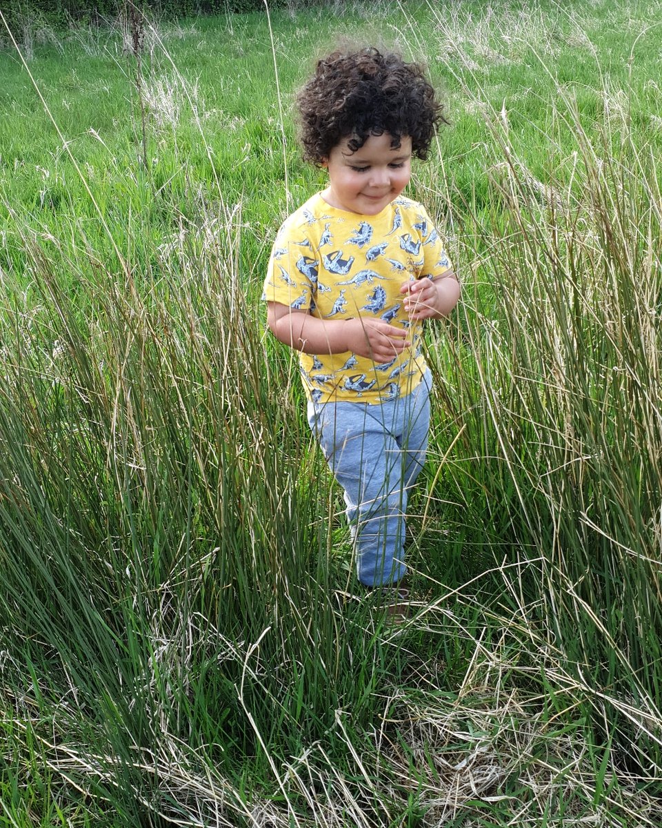 RBentley_REMAT's tweet photo. Day 16 - Take Notice - what signs of spring can you see? Today we went for a walk. We saw lots of signs of spring and enjoyed stopping to look at them. Our favourites were all the bumble bees! Here is #MiniSolomon enjoying the swishy swashy grass! #stsilaswellbeingchallenge https://t.co/n33ZGoruU9