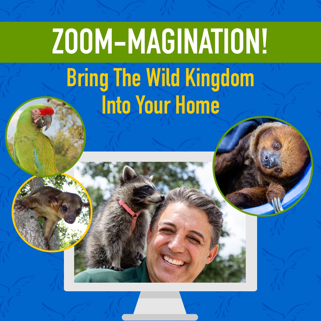 Zoomagination's tweet photo. #Zoom with Zoomagination!!! Invite animal friends to your next virtual classroom, meeting, or happy hour! 

#StayHome #HealthyAtHome #AtHomeFiesta https://t.co/ESoCtyCsJe