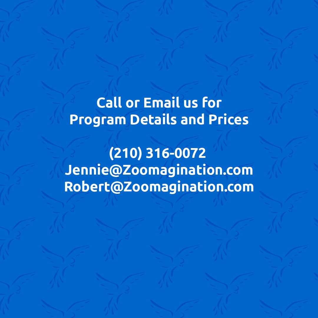 #Zoom with Zoomagination!!! Invite animal friends to your next virtual classroom, meeting, or happy hour! 

#StayHome #HealthyAtHome #AtHomeFiesta