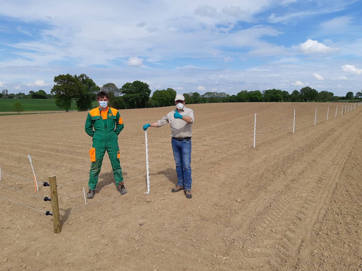 Damien Toublanc tweet media