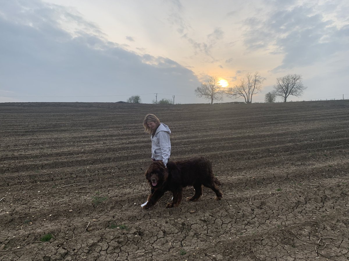 accidentexpress's tweet photo. The Dog wanted to take Marie for a walk. https://t.co/ucrmcWcZab