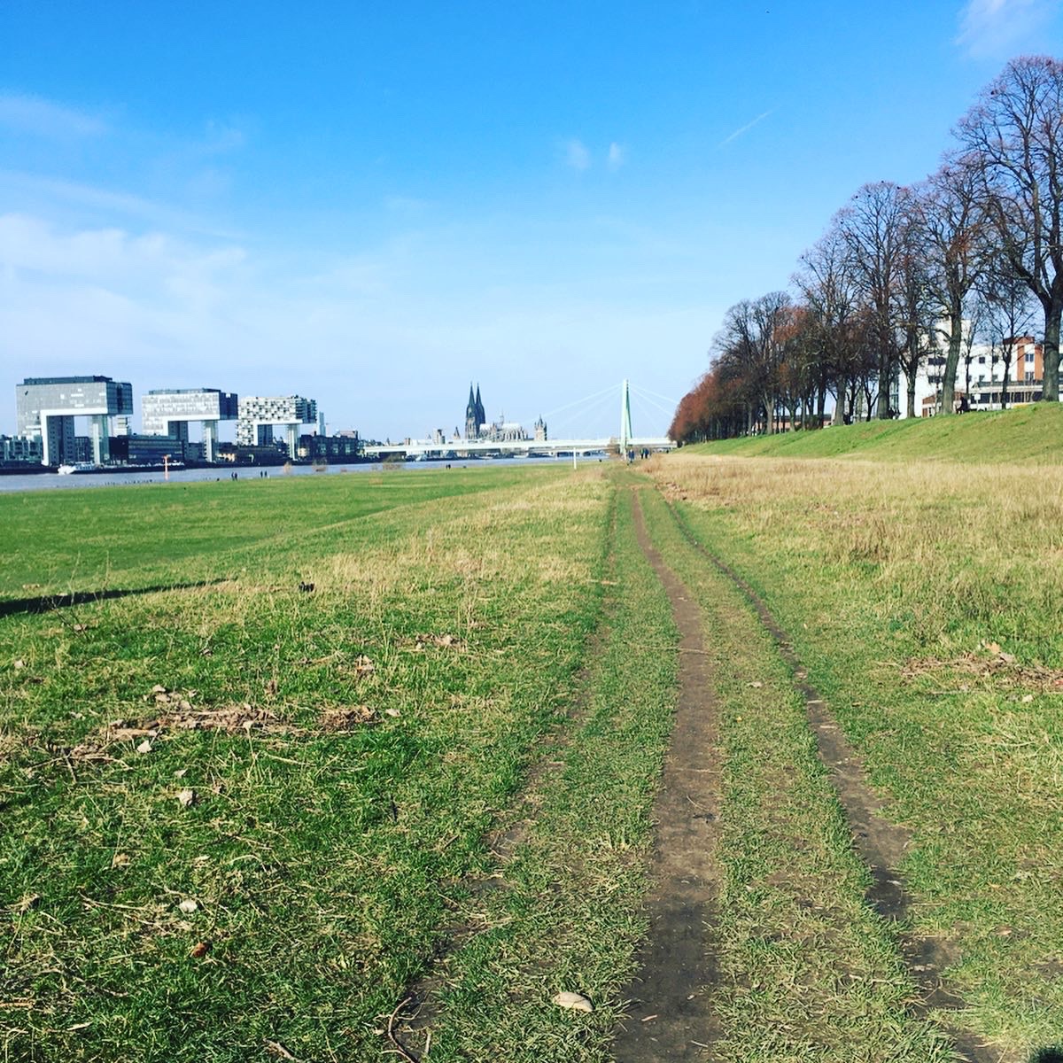 _Cloudius_'s tweet photo. (Quick update: still in Germany, the orchestra is still paying me which these days is a bloody miracle, obviously missing family/friends/London but very lucky to be financially ok right now, learning German and seeing as much of Köln as I can on my running route every other day) https://t.co/IiXYdbUXaW