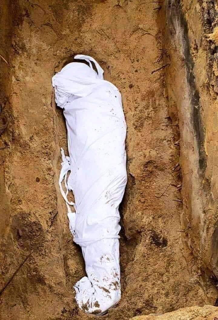 محسن الشمري 🇸🇦 tweet media