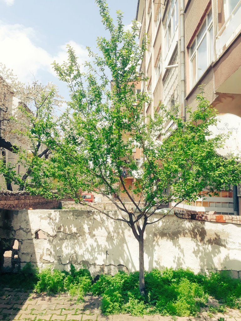 “İnsan herşeyi anlatamaz , zaten kelimeler de herşeyi anlatmaya yetmez.”