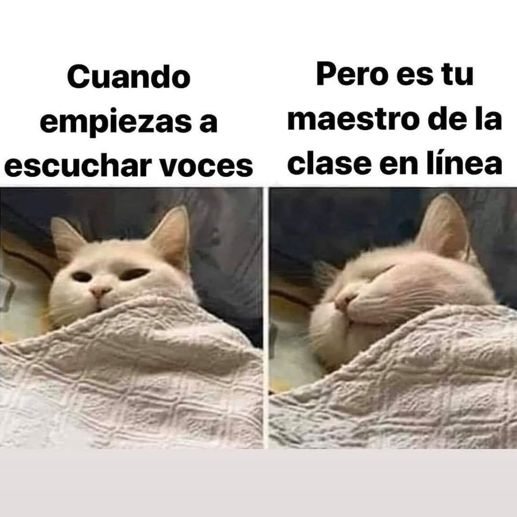 LaIgnorancia's tweet photo. Maestros molestos 😤 #AvanzaLaIgnorancia #EstaSemanaEstaría #LopezDoriga #Resistire #FelizJueves #lmReady https://t.co/0QttyMUma7