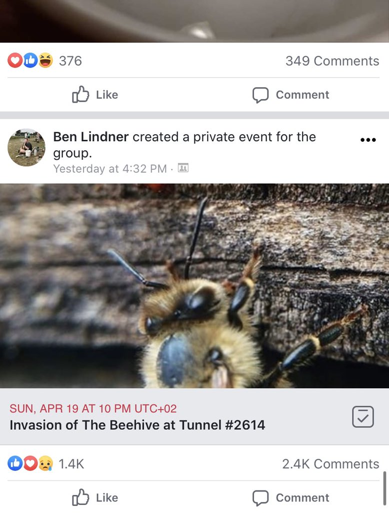 MaddieKelly4's tweet photo. nina added me to this fb group where everyone acts like an ant in a colony and I think this is the niche entertainment I didn’t know I needed https://t.co/DYLQ2vVfkn