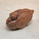 main image of this resource