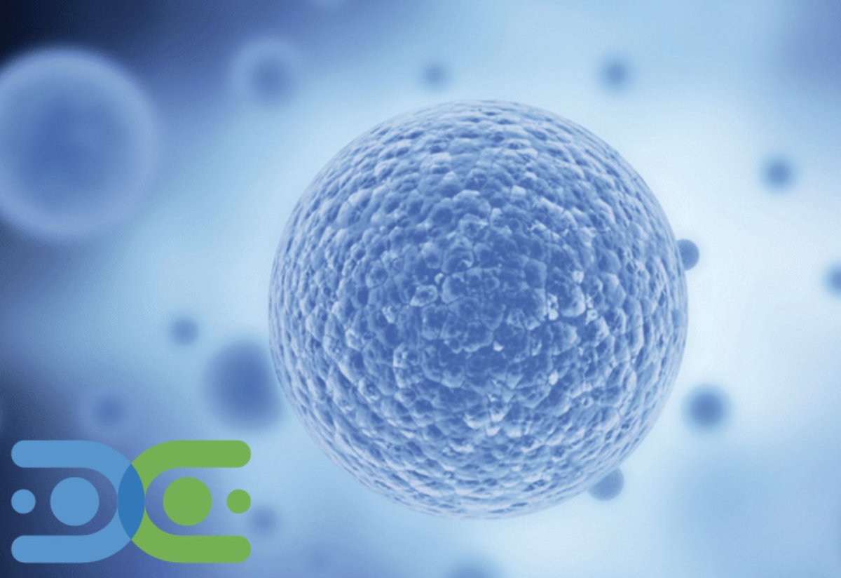 DiabetesRsrch's tweet photo. #T1Thursday
In a recent study, researchers tested a new method of transplanting therapeutic cells by using a retrievable device with a silicone reservoir. #T1D #Connect4ACure #DRC4T1D #Type1Diabetes
Click the link to learn more: https://t.co/MXFURtk0mV https://t.co/Kr6Q2Brev0