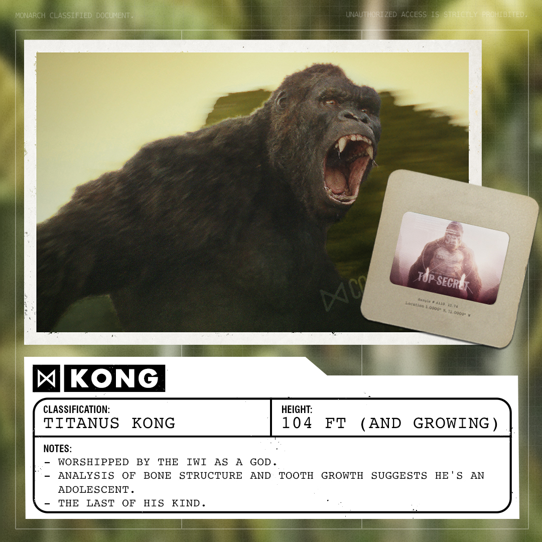 Monarch Titan Profile: KongClassification: Titanus KongHeight: 104 ft (and growing) u2028Notes: - worshipped by the Iwi as a god - analysis of bone structure and tooth growth suggests he& #39;s an adolescent u2028- the last of his kind  #MonsterverseWatchalong