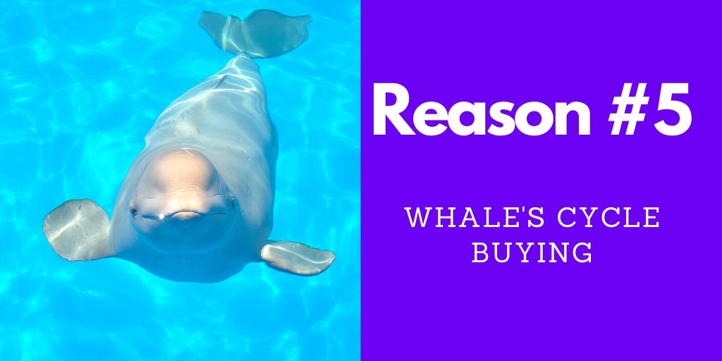 24/50 Reason 5: Whale Cycle BuyingAs actual use drives up the price, what happens?Those rent seeking whales are back.The price has went up so much, that their RoI rate is up, and so they can put more money back into staking.But, the more they put into staking,