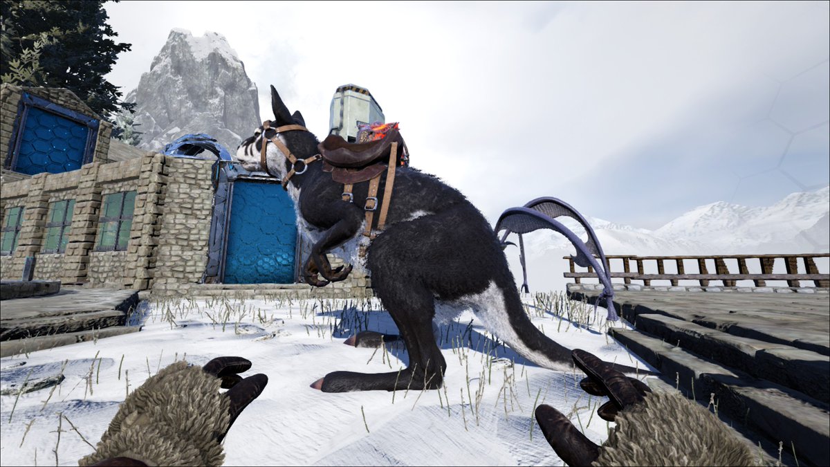 魅惑色のぱんだ Ark またとんでもないお気に入りカラーをテイムしちまったぜ 白黒のカンガルー みんなでミッションやろう って時に見つけちゃって即テイムを始めるぱんだであった ついでに近くにいた150のパリピドエディもテイム 割とステ
