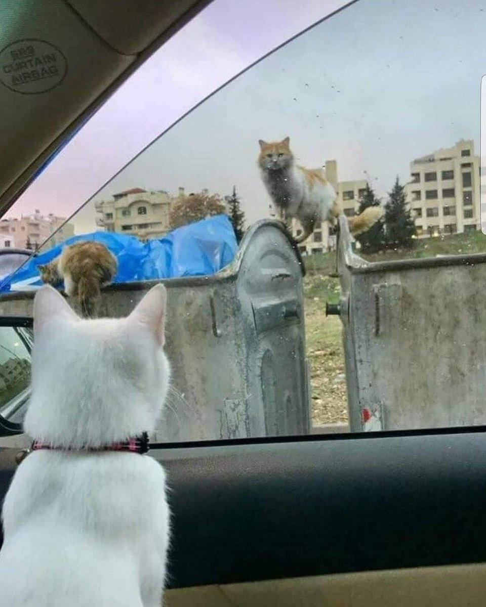 BlackMachineIV's tweet photo. @yedvideo Sen Karşıyakasın ben bucayım , neyse yol yakınken vazgeçeyim 💔 ☹️ https://t.co/mJgFkwYQdb
