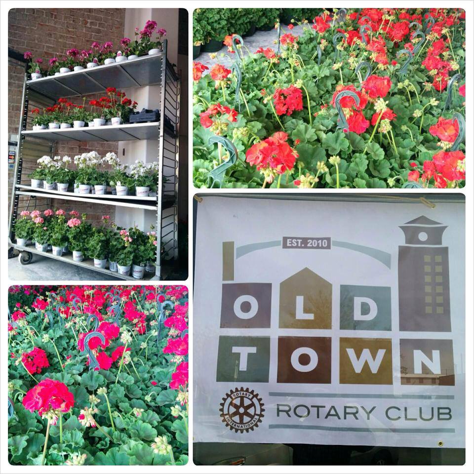 RotaryWichitaOT's tweet photo. Check it out! 2020.04.13 Old Town Rotary Newsletter - https://t.co/UbMmOIogGf And then join us on Monday for a St. Francis Ministries presentation. https://t.co/GwFwqDbMRw