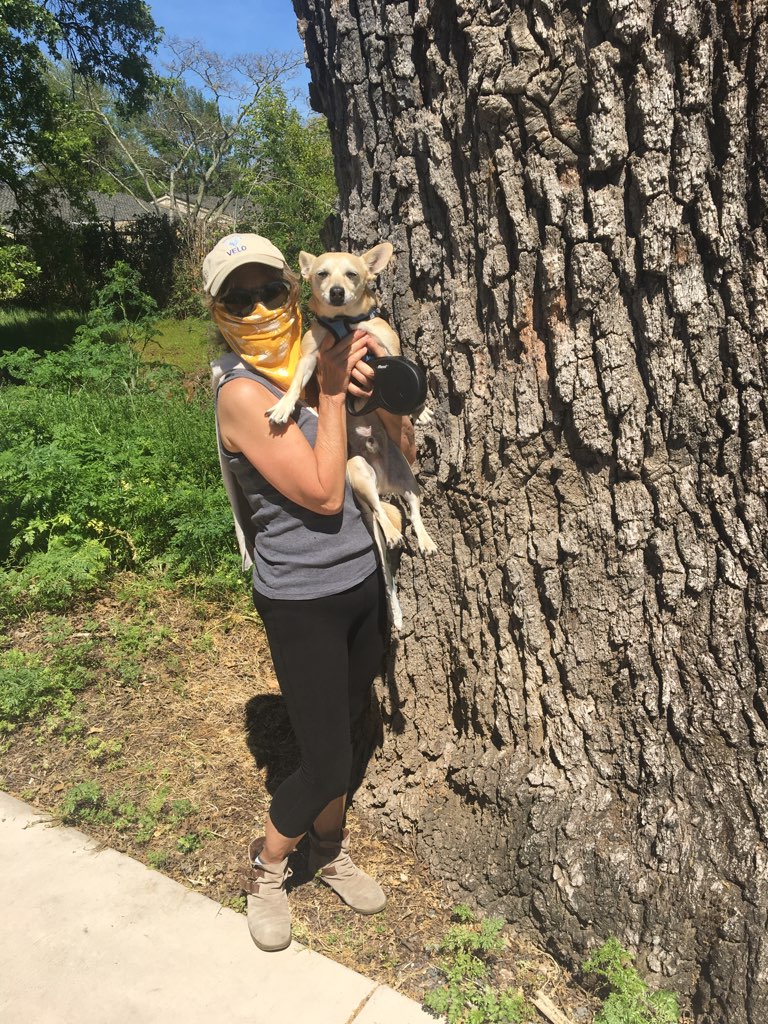 James and Carole Eales with Teddy. Walking in Yountville :) #CrushingCOVID19
<a href="/VHS_Crushers/">Vintage High School</a>