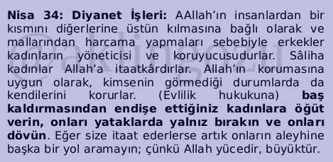 Aklin Gozu Yedek On Twitter Suphesiz Ki Islam Kadina Siddete Karsidir Ama Bas Kaldirmasindan Endise Ettiginiz Karilarinizi Dovebilirsiniz Orasi Ayri Https T Co G0qn6ky26p Twitter