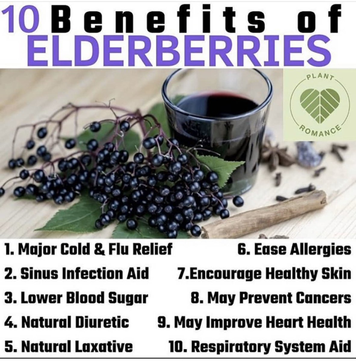 THEBESTGLOW's tweet photo. Elderberry is very beneficial in these crazy times! Powerful immune boosting properties 🙌🏾 https://t.co/hxq6Ox9ZXg