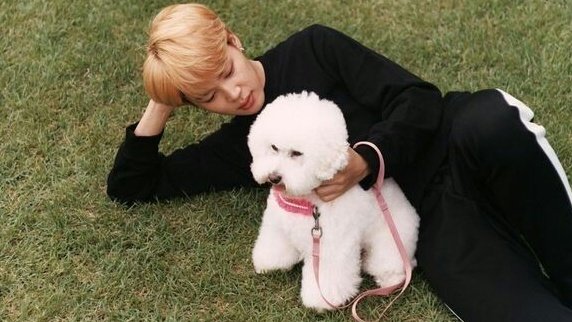 jimin tweet media