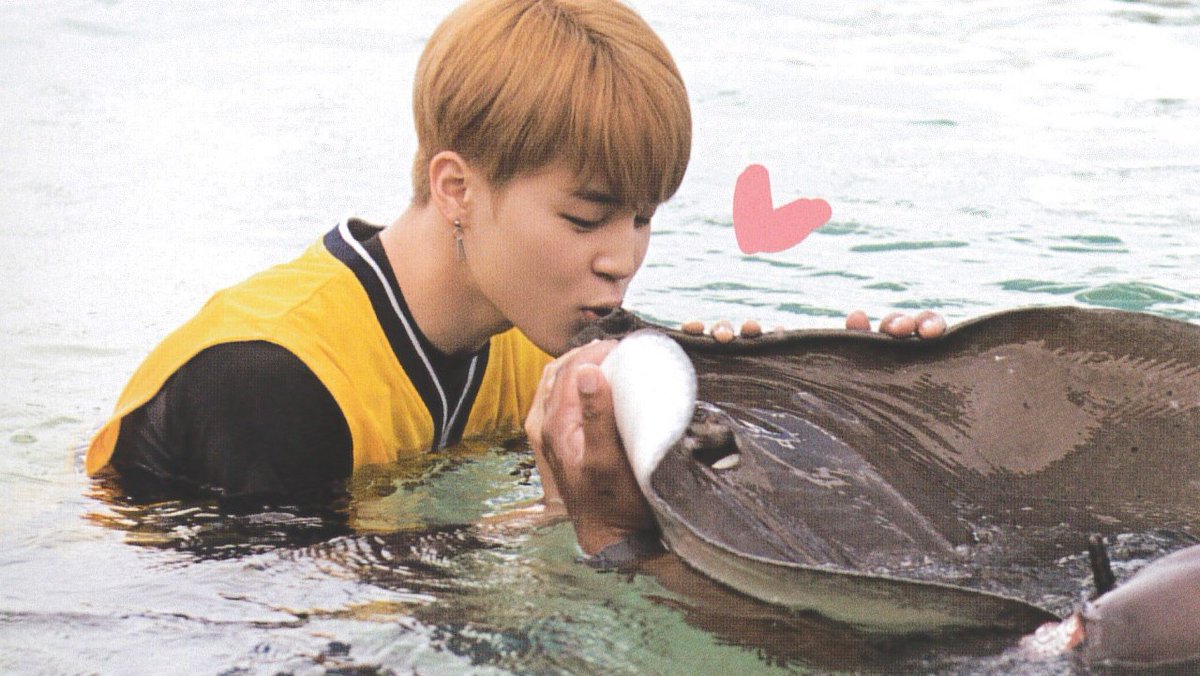 jimin tweet media