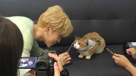 jimin tweet media