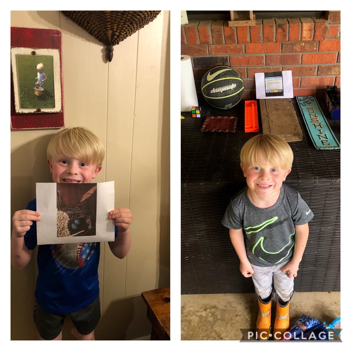 hannahmfischer's tweet photo. Weekly Zooms/picture sharing are SO fun! Students are going on scavenger hunts for shapes/rhyming words/words that begin with the same sound! They’re engaging in online story time! And some even have FUN pets at home now!🐣I love seeing their continued learning at home 🥰 #PreK https://t.co/vQ0wEO8UwZ
