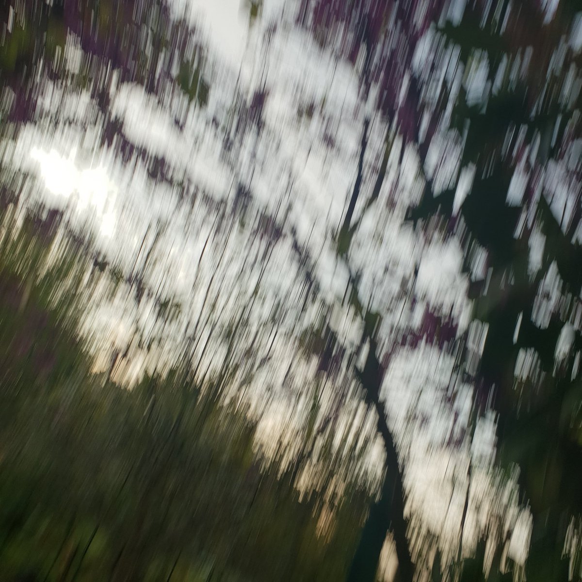 amourcielange tweet media