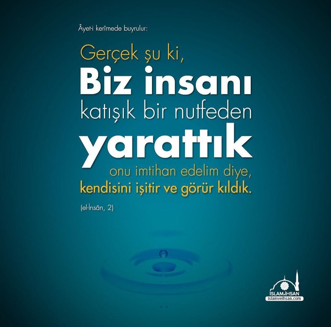 Uruglangan mushuk porno onlayn