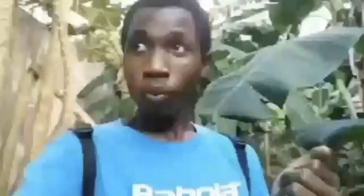 idea.meme tweet media