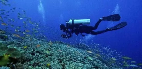 Top 5 diving spots in Sanya.
Sanya is considered as one of the best diving resorts in the South Pacific Ocean.
ow.ly/GVfF50zgoFS