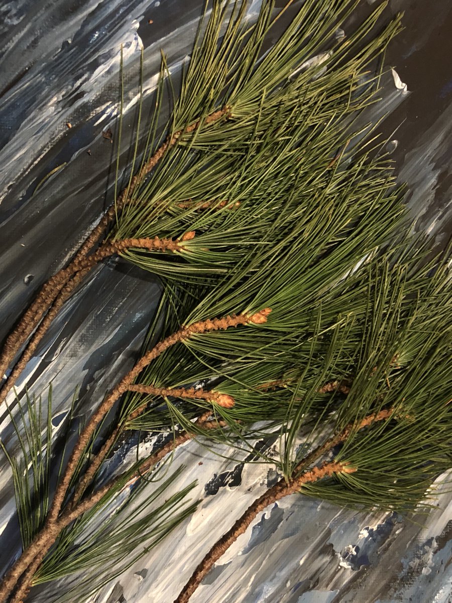 jessgrifburke's tweet photo. I’m in #zoommeetings all day &amp; need to get #outside to recharge so I can stay engaged. Here’s my work in progress art piece for the #PittCreatingCommunity project.  The submissions we already have are amazing and we would love to see more! Get #creative  https://t.co/lZW32lYk63 https://t.co/JarQFN3bnu