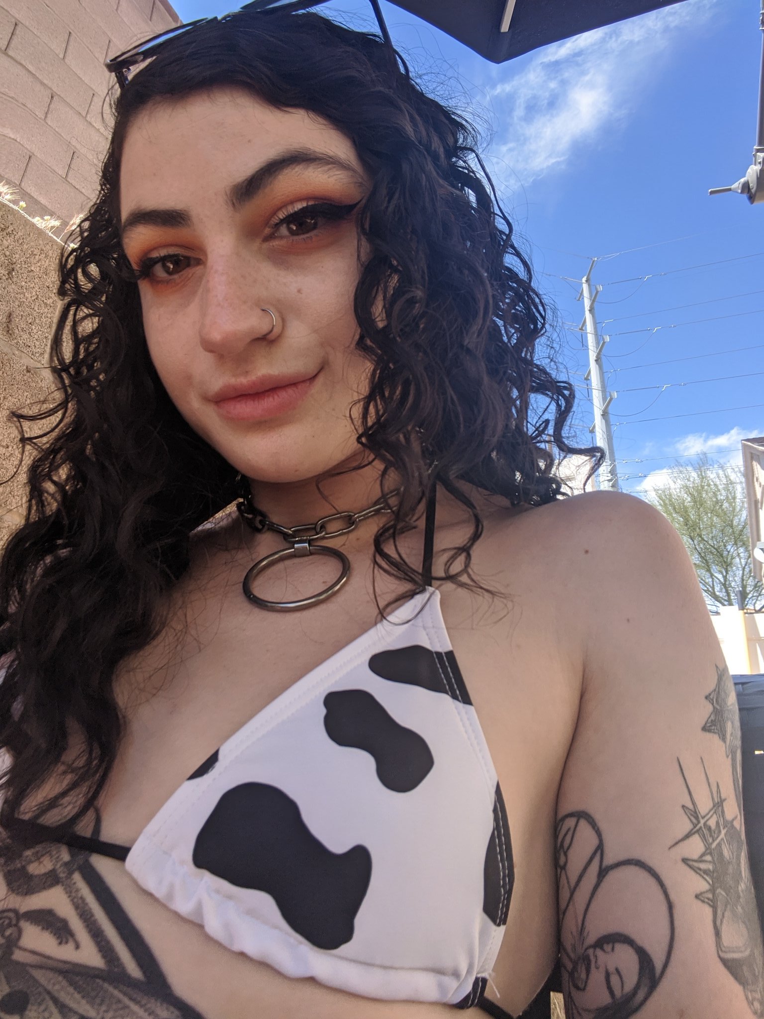Lydia Black NO PPV ON SHEER on Twitter: "Mooo mooo https://t.co